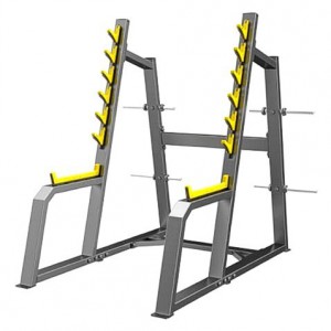        DHZ Fitness E3050 -     