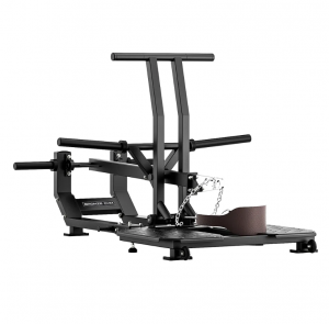 ���������������� �������� ��������� ���������� � ������ "�������" BRONZE GYM RAVE RV14 - ����������������� �� ����������� � �������������
