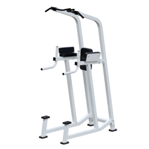 ���������������� ������� �������� �����-������ � �������� Sabirgym SG031.1 ������������� - ����������������� �� ����������� � �������������