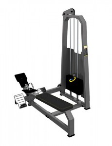 ���������������� ������� �������� ������� ����/�������������� ���� (Long Pull) DHZ Fitness R-2033 s-dostavka - ����������������� �� ����������� � �������������
