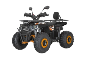  DAZZLE ATV125 ( 2)  -     