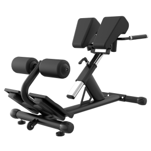 �������������� 45���� MAXGYM ZH26� ���������������� �������� ����������� - ����������������� �� ����������� � �������������