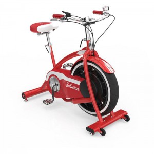 Магнитный велотренажер Schwinn Classic Cruiser (100777) swat - Екатеринбургспорт ру спорттовары в Екатеринбурге