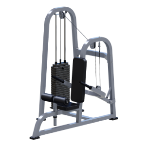 ���������������� ������� �������� ��� � ���� Sabirgym SGMSX210 ���� 100 �� ����� ���� - ����������������� �� ����������� � �������������
