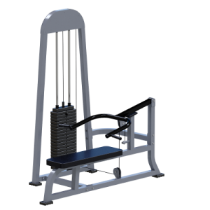 ���������������� ������� �������� ��� ��� Sabirgym SGMSX22 ���� 100 �� �������� - ����������������� �� ����������� � �������������