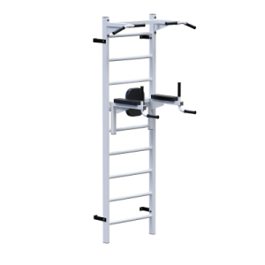 ������� �������� �������� ������ + ������ + ������ Sabirgym SGL072 - ����������������� �� ����������� � �������������