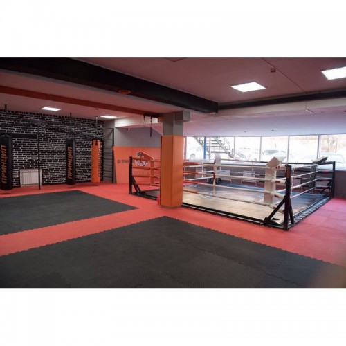 ���� ��������� ������������� 5 � 5 � IRON KING ����� ���� - ����������������� �� ����������� � �������������