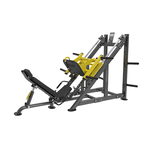 BRONZE GYM PL-1717     45  -     