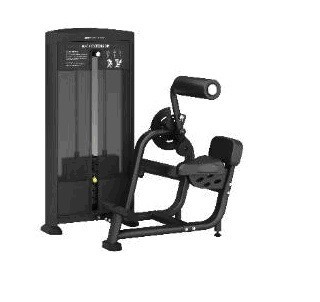    BRONZE GYM BLANC 31 BN31  -     