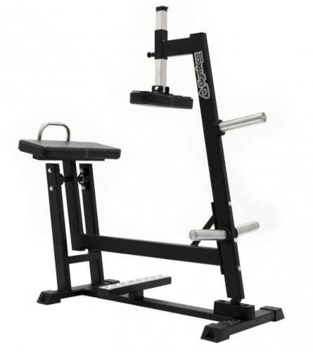 ������ ���� �� ��������� ����� Gymleco 46 ���������������� �������� vasilgym - ����������������� �� ����������� � �������������