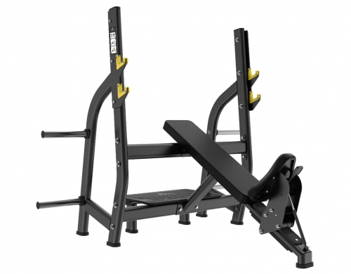     Protrain LFP142     vasil-gym -     
