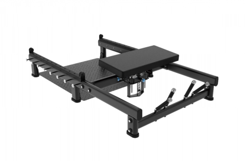   -    Protrain LFP217 armssport -     