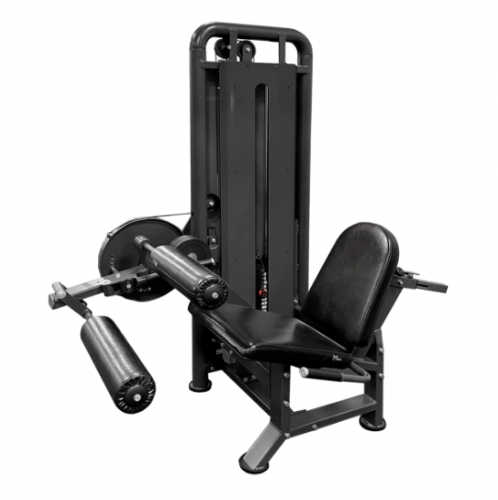     BRONZE GYM PARTNER ML-705   -     