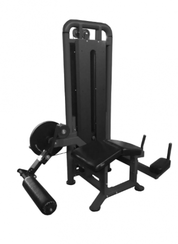       BRONZE GYM PARTNER ML-706 -     