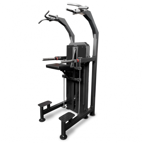   100  BRONZE GYM PARTNER ML-823   -     