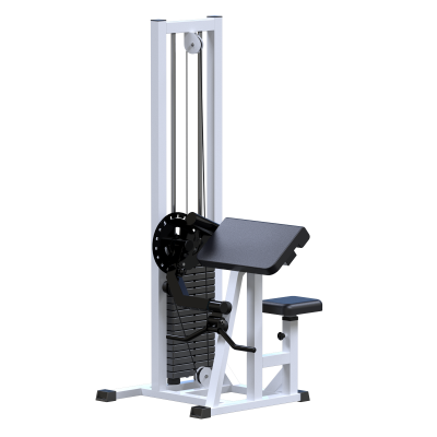 ���������������� ������� �������� ������-������� Sabirgym SG050 ���� 75 �� ��������� - ����������������� �� ����������� � �������������