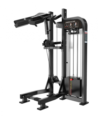      Protrain CP118 sportsman -     