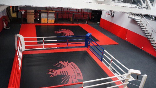 ���� ���������� IRON KING ����� ���� � ����. ����� 6 � 6 �., �� ������� 7 � 7 �. ������� 0,5 �. - ����������������� �� ����������� � �������������