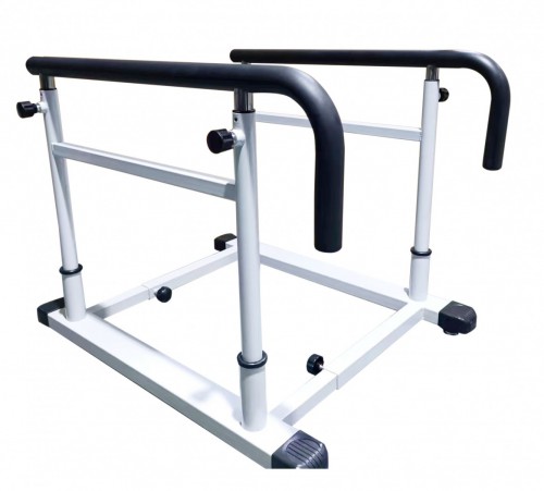     AMF D1  vasil -     