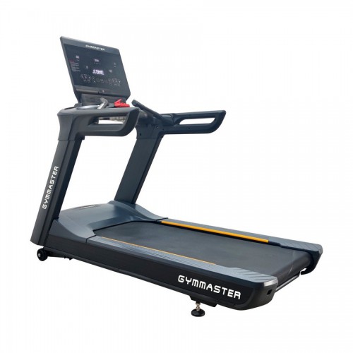     Gymmaster FT-T919 -     