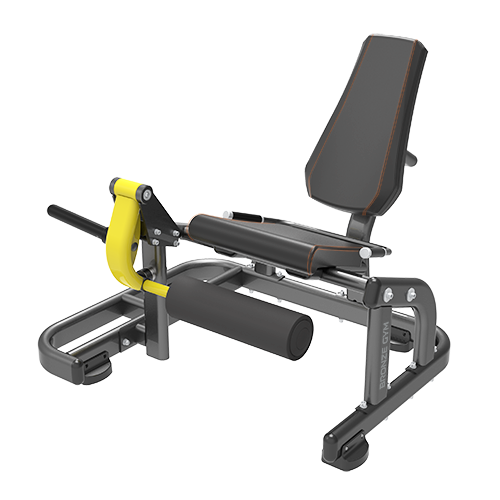 BRONZE GYM PL-1711    -     