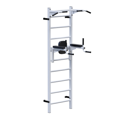 ������� �������� �������� ������ + ������ + ������ Sabirgym SGL072 - ����������������� �� ����������� � �������������